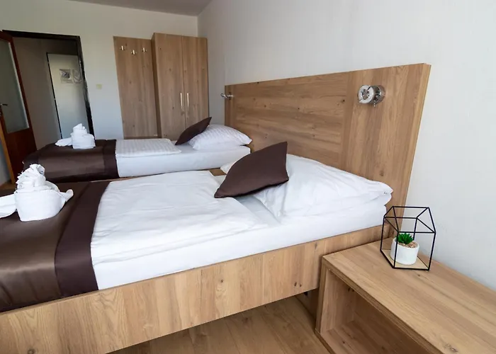 Отель Akademia 2*